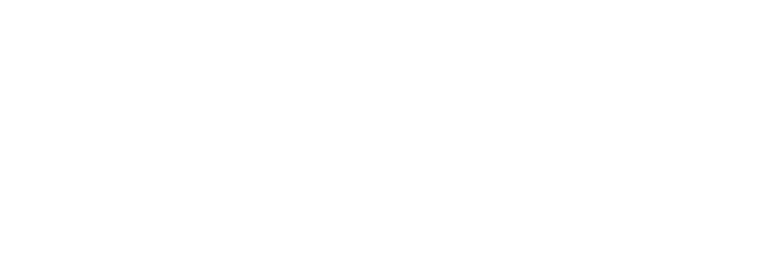 Plivus - Global Banking Simplified